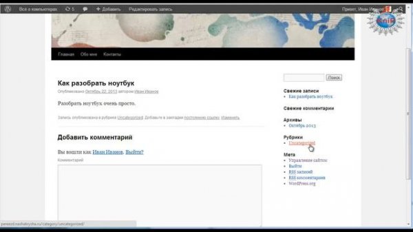Страницы и записи wordpress