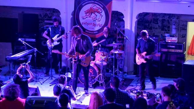 Jair Naves - Festival Sinfonia De Cães 20 Anos - 2023