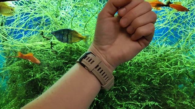 Amazfit T-rex 2 на женской руке смотреть онлайн