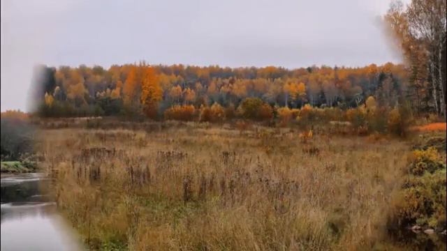Раскидала краски осень