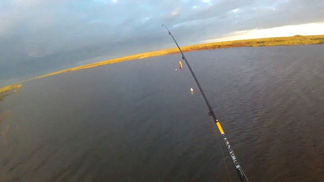 Сети на став 22.06.2021 смотреть онлайн