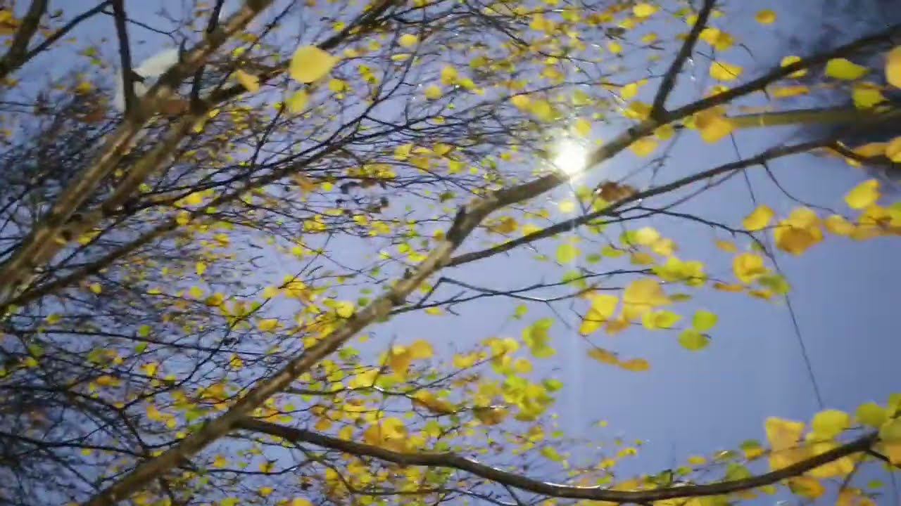 Внезапно ✨ смотреть онлайн