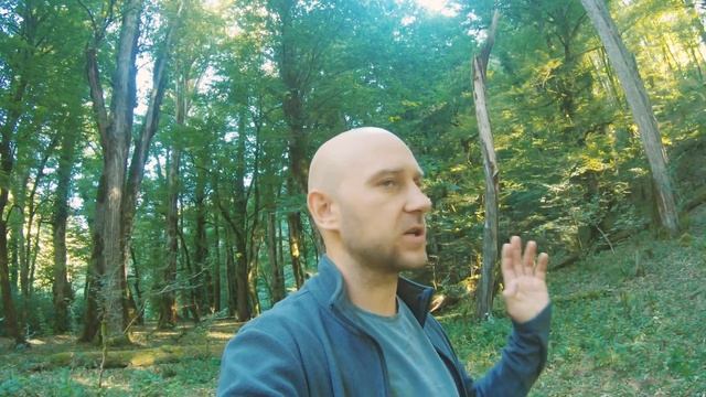 На нас ночью напали.... смотреть онлайн