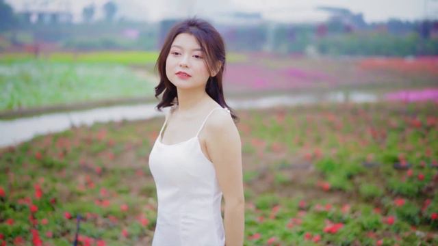 Can't Help Falling In Love Saxophone Mp3 Download 🎷 Guitar music saxophone 248 смотреть онлайн