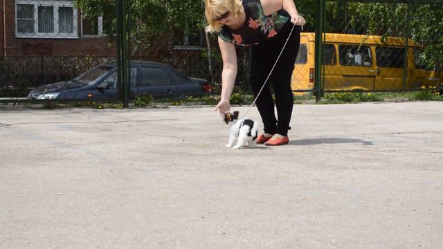 Бивер Юджелис Жоржета смотреть онлайн