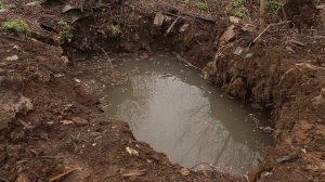 Пруд выкопали, рыбу запустили. Пруд на свалке без пленки. Часть 3.