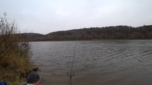 СУДАК на Фидер в ноябре на ОКЕ