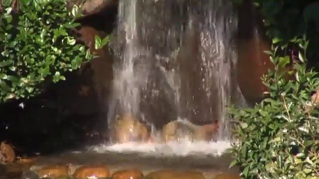 Дзен сад Водопады 2011 смотреть онлайн