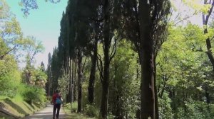 Лазурный берег. Санаторий Сочи