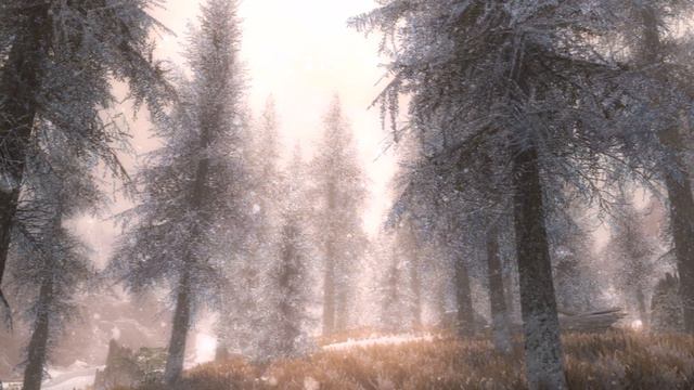 Skyrim SE- Graphics Showcase Dec 2017- Xbox One смотреть онлайн