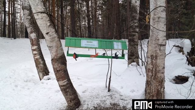 У кормушки смотреть онлайн