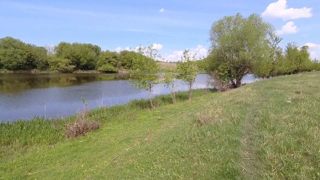 Майская прогулка на реку БЫСТРАЯ СОСНА!Встретил пасущихся ЛОШАДЕЙ! смотреть онлайн