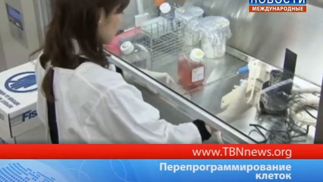 Перепрограммирование клеток смотреть онлайн