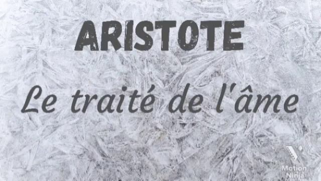 Livre audio -12-Le sens de la vue et son objet - Le traité de l'âme - Aristote смотреть онлайн