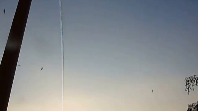 полеты ласточек или стрижей смотреть онлайн