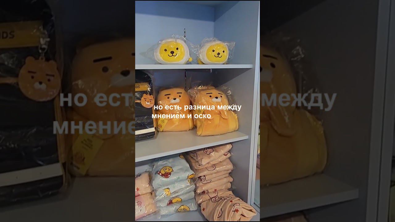 Влог о Корее разница между мнением о оскорблением смотреть онлайн