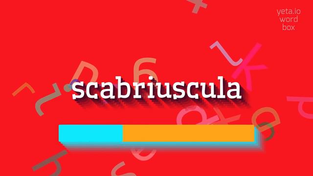How to say "scabriuscula"! (High Quality Voices) смотреть онлайн