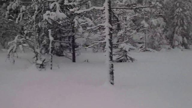 Беговые лыжи в Хемседале смотреть онлайн