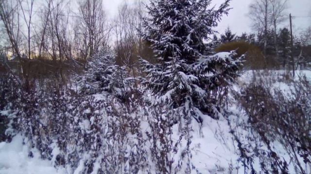 Нападает бешеный ЖОР... Но стресс не могу заедать! смотреть онлайн
