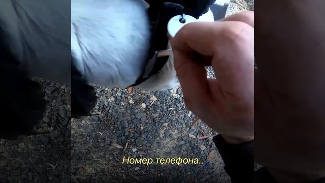 Камера видеонаблюдения сняла шокирующие кадры смотреть онлайн