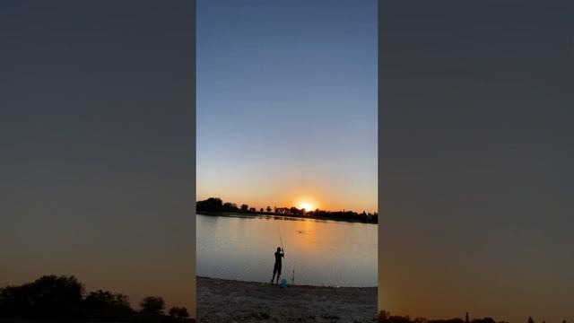 Рыбалка в августе с ночевкой. Ловля на донки и поплавок. Активный клёв карпа и карася? смотреть онлайн