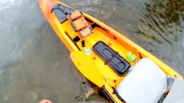 Raptor River Run - roll over смотреть онлайн