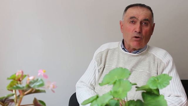 Shakarbek Yusufbekov смотреть онлайн