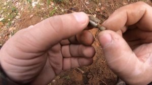 Коп 2024 года! Продолжаем шурфить с Minelab Manticore
