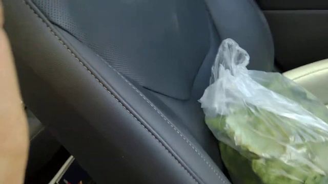 Ford Mondeo 2017 the Lettuce needs a seatbelt смотреть онлайн