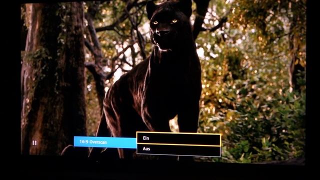 Panasonic 65DXW904 (DX900, DX902, DXW904) UHD Premium HDR TV im Test смотреть онлайн