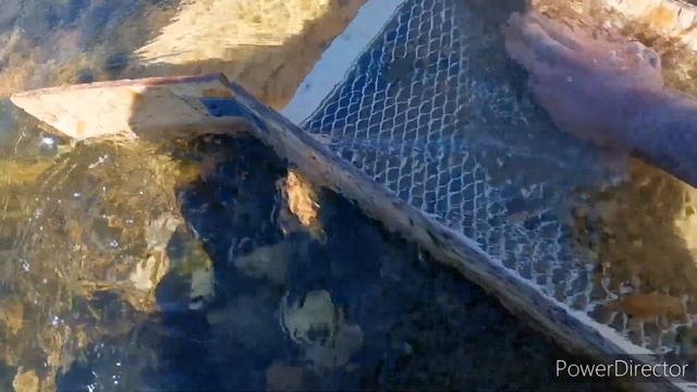 Добыча золота, намываем золото, золотой прииск смотреть онлайн