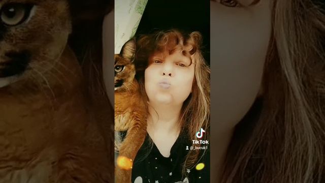 Видео из тик ток смотреть онлайн
