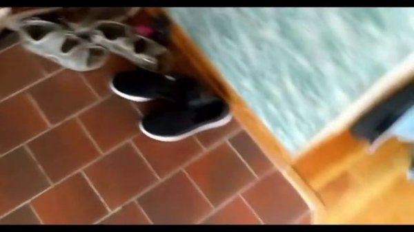 iRobot Roomba i7 series Demo and Review