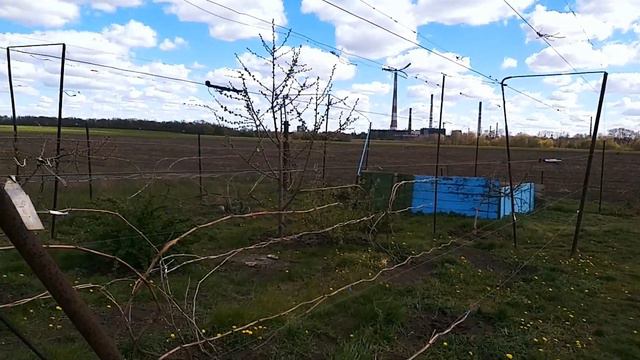 Принудительное пробуждение виноградного куста. смотреть онлайн