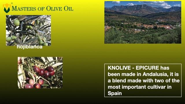 The 3 Best Extra Virgin Olive Oils Intense Fruity You absolutely have to taste (in 2020). смотреть онлайн