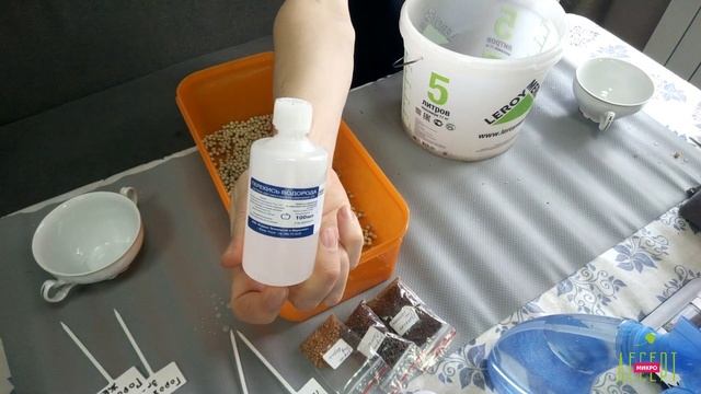 МАРАФОН по выращиванию МИКРОЗЕЛЕНИ. День 1 смотреть онлайн