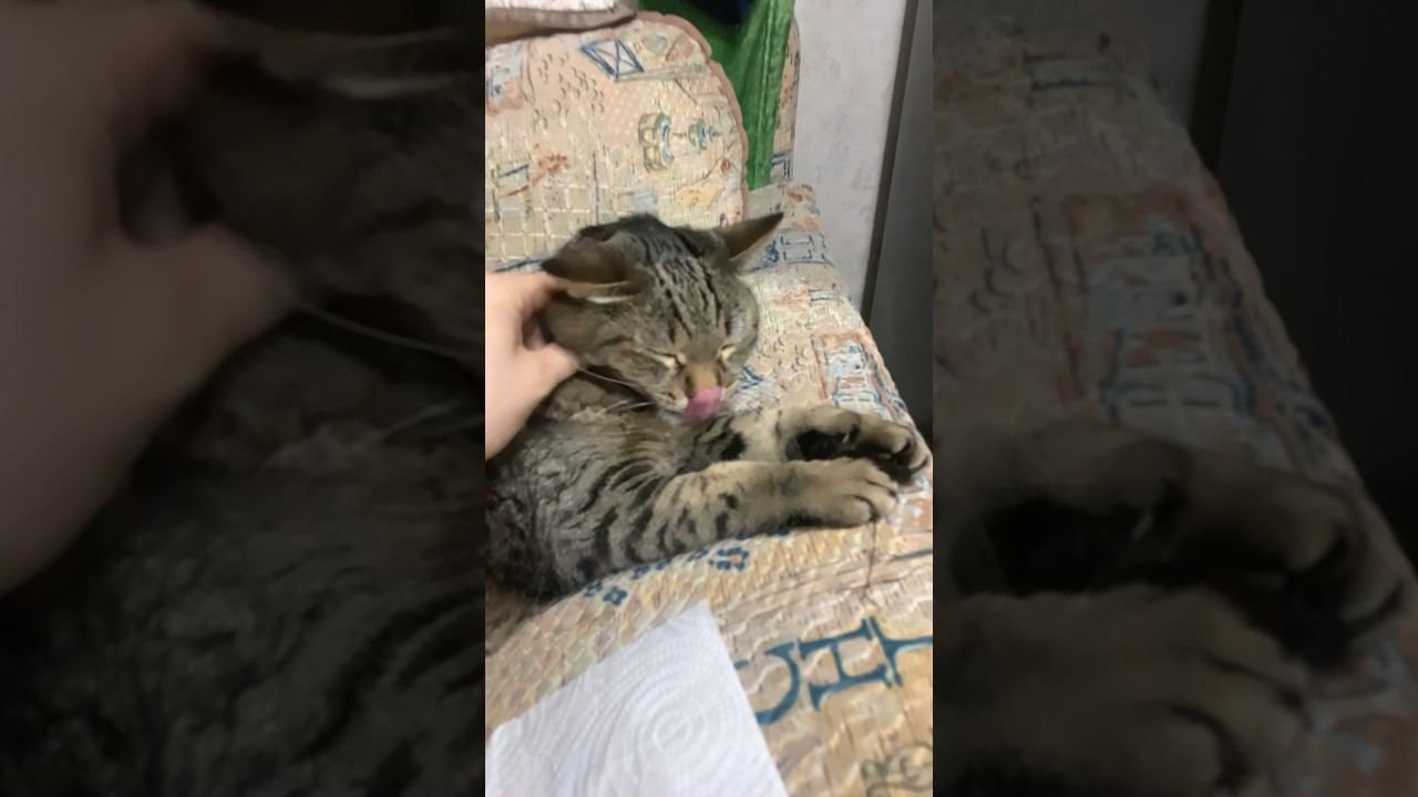  смотреть онлайн