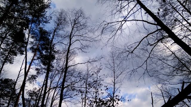 Calming Piano Music. Short Relaxation For Stress Relief And Healing.