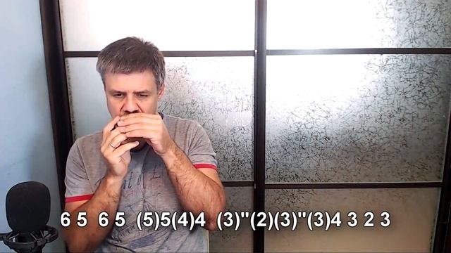 Drunken sailor on harmonica смотреть онлайн