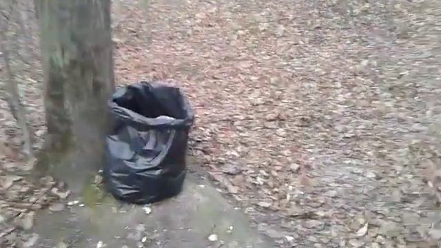 Уборка сквера радом с купелью Патриаршего Подворья в Переделкине 29.10.2019 смотреть онлайн