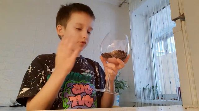 Живая Кухня