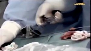 Свидетельство певицы Вики Цыгановой