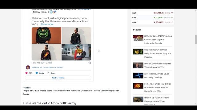 *ВАЖНО* ВАЖНОЕ ПОСЛАНИЕ ОТ СЕО ШИБА ИНУ - ШИТОШИ КУСАМА! - ПОЯСНЯЮ смотреть онлайн