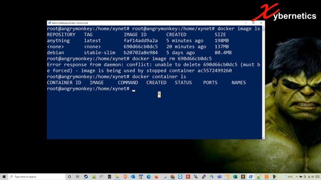Delete Docker Image смотреть онлайн