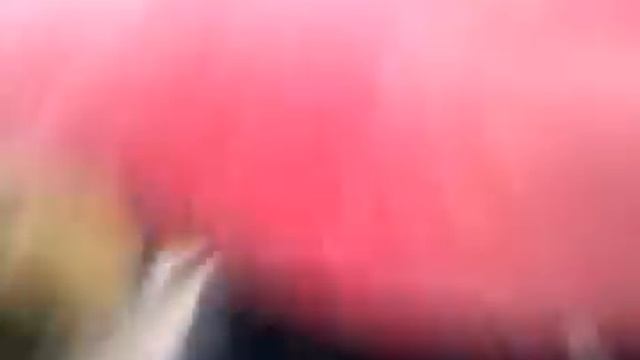 Белый дым при запуске дизеля. смотреть онлайн