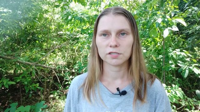 Сколько стоит моя иллюстрация \ Цены \ Фриланс для художника \ Рисую ДУДЛЫ на ЗАКАЗ смотреть онлайн