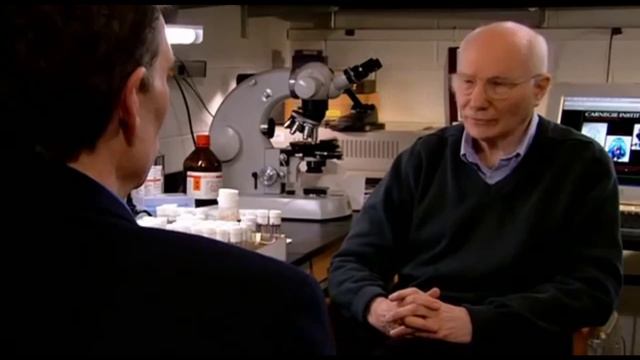 Хромосомная теория наследственности. Геном и гены. смотреть онлайн