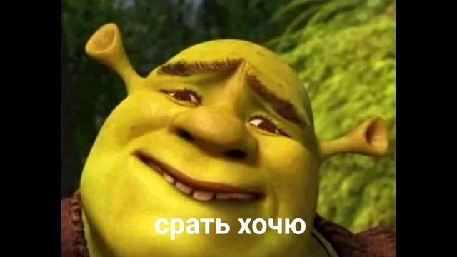 вводный понос #1 смотреть онлайн