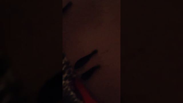 Лечение пиявками смотреть онлайн
