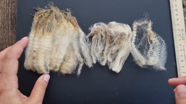 Покупка шерсти в Интернете. Как определить мериносовую шерсть? смотреть онлайн